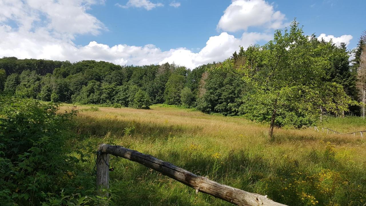 Schoener Weitblick Bad Sachsa Eksteriør bilde