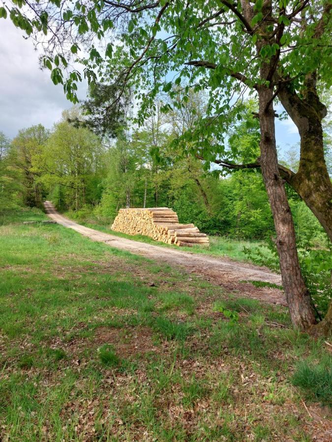 Schoener Weitblick Bad Sachsa Eksteriør bilde